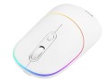 Tracer Mysz RATERO RF 2.4 Ghz white