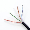 Qoltec Kabel patchcord sieciowy skrętka UTP | CAT6 | High speed 1Gb/s | LAN | 50m | Czarny