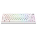 Savio Klawiatura magnetyczna ASTRAL White OUTEMU White jade RGB