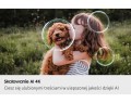 Samsung Telewizor Neo QLED 4K 50 cali QE50QN80FAUXXH