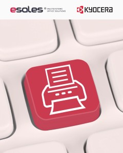 Drum unit Kyocera DK150