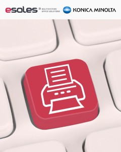 Bęben Minolta IUP14M
